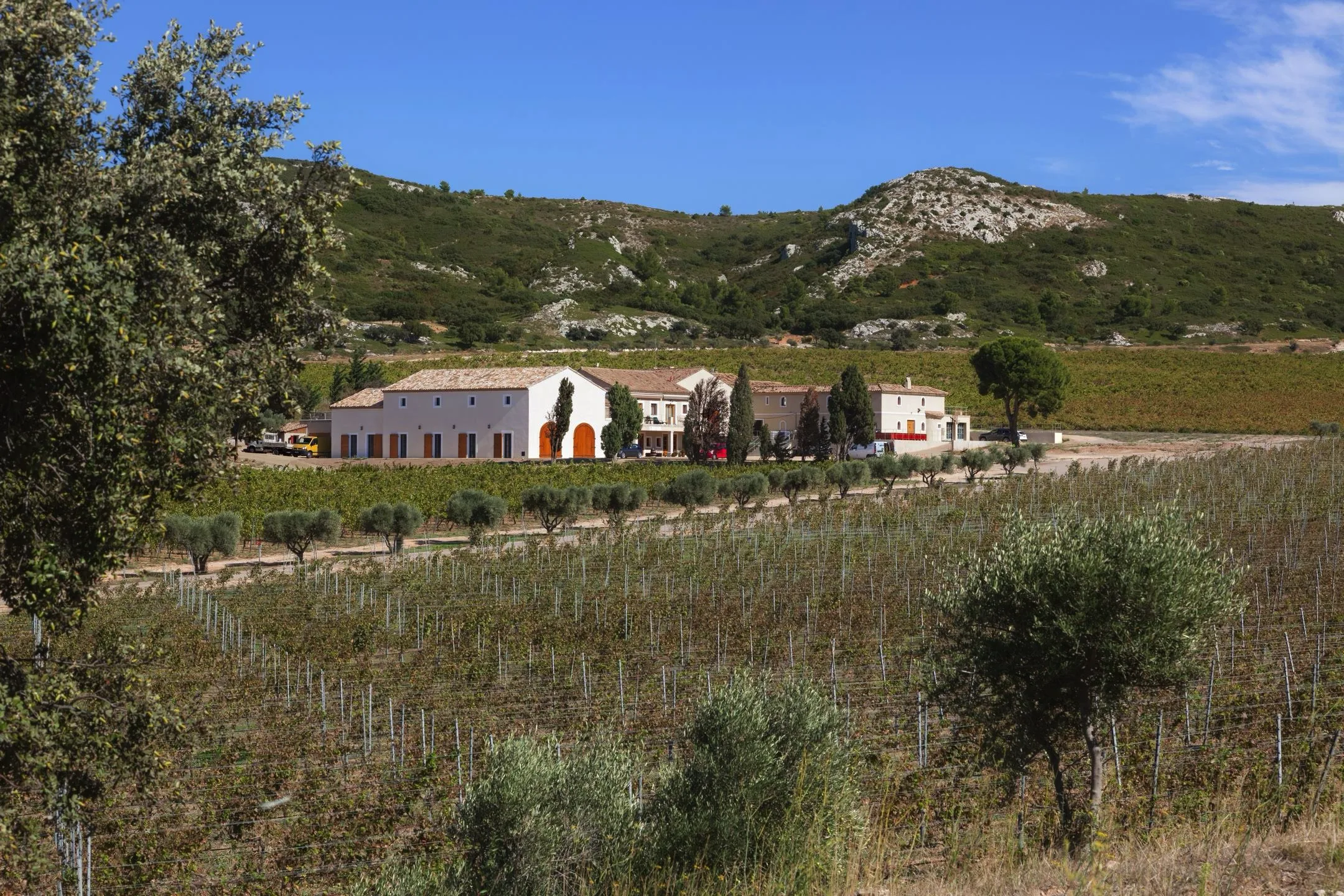 Construction des chais du Domaine de Lauzières — Mouriès (13)
